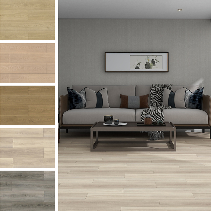 Accord Premium & Select