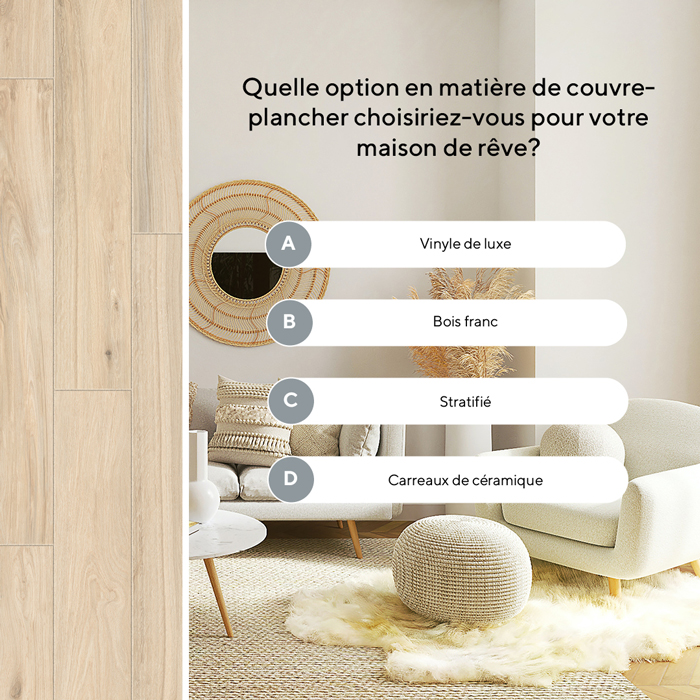 Couvre-plancher de rêve Teaser