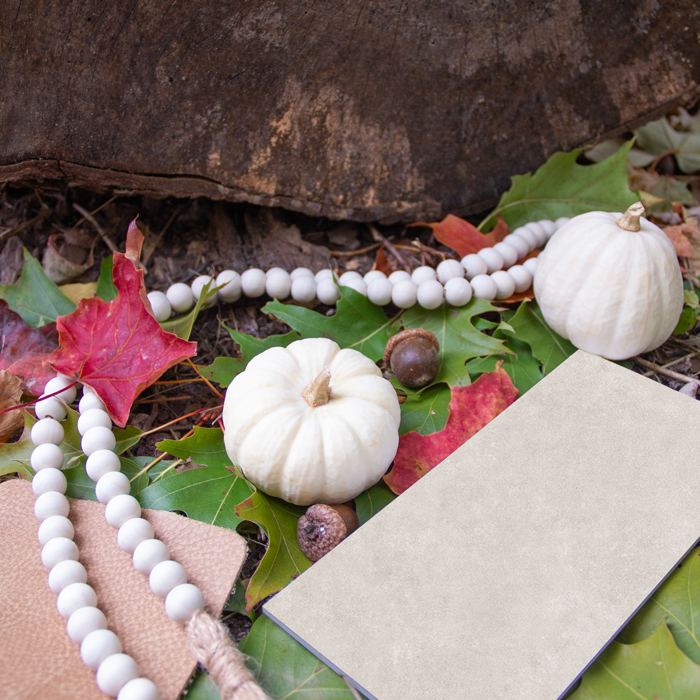 Ambiances d'automne Article