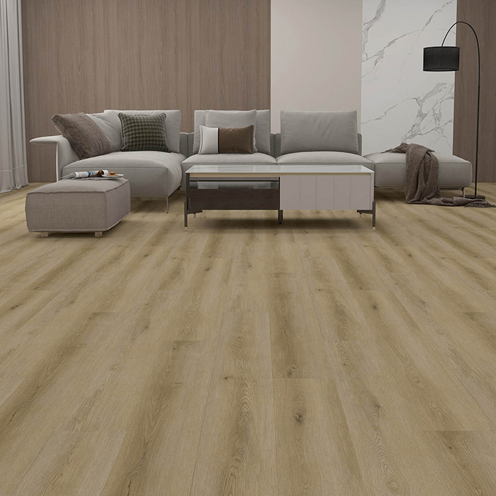 La Collection Synergy Long Plank Article