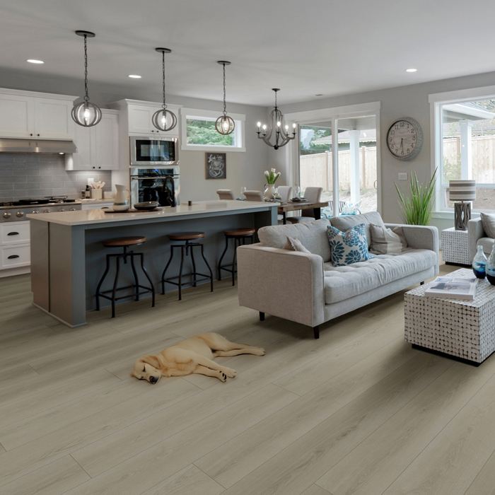 La Journée Nationale du Chien Teaser