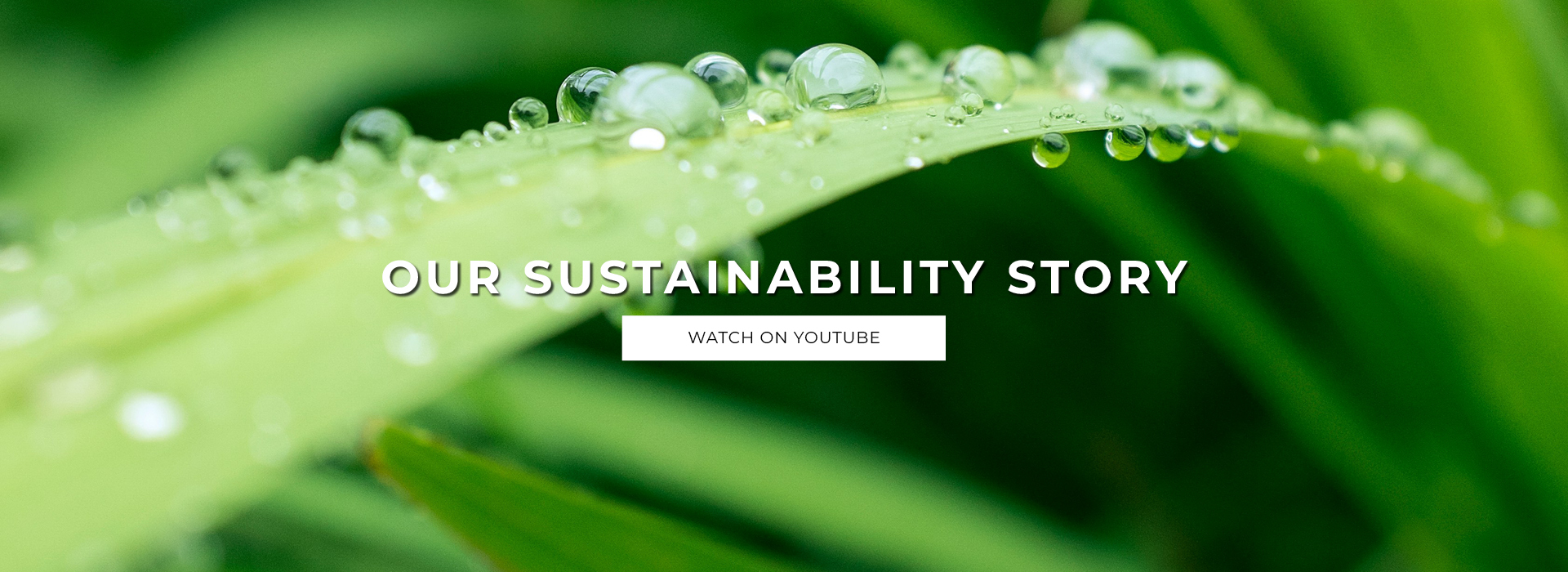 Sustainability: Hero Banner