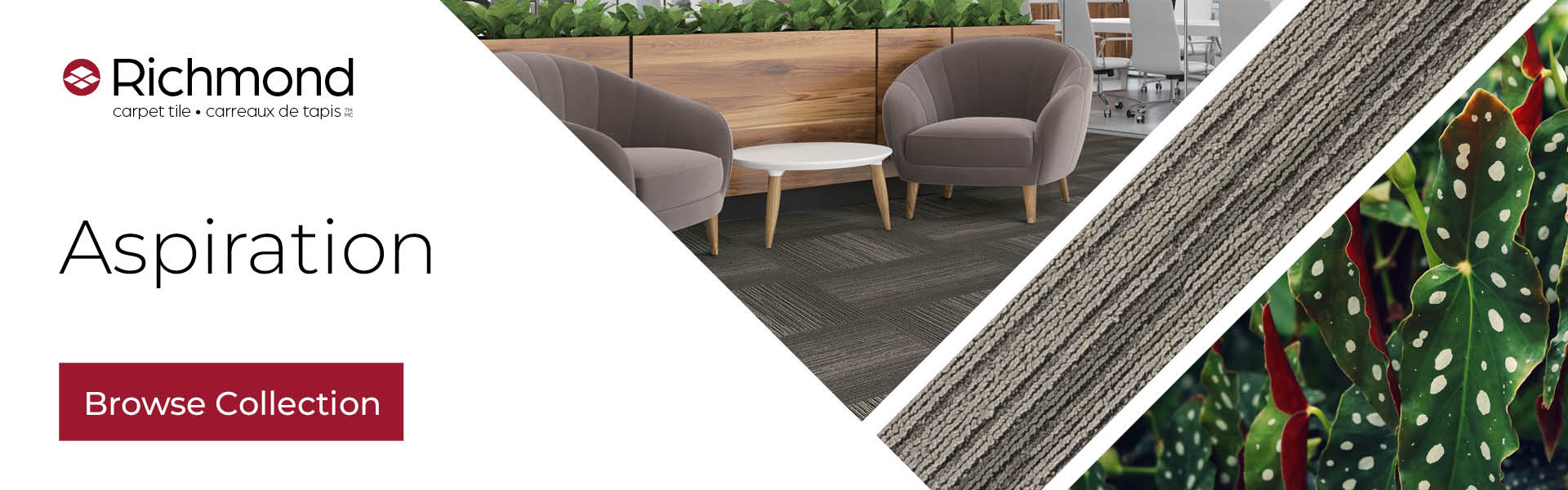 Carpet Tile: Aspiration