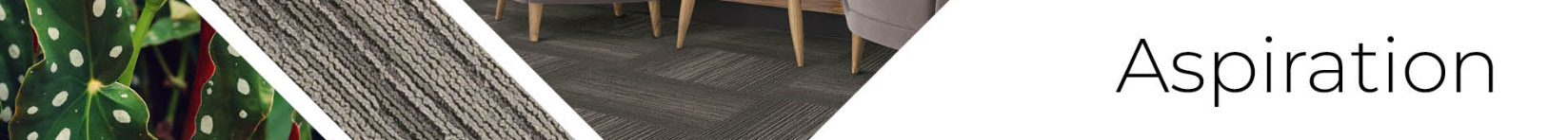 CARPET TILE: Aspiration Promo